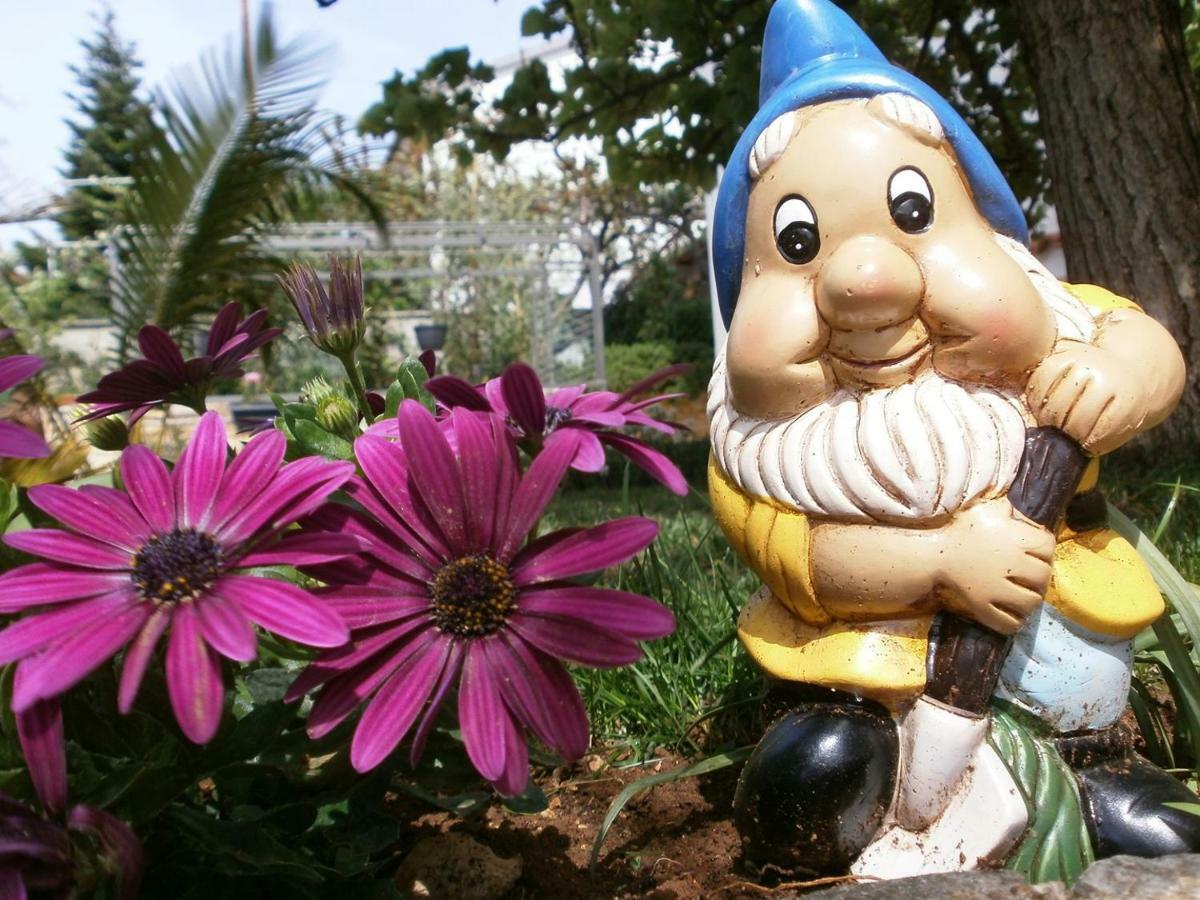 Villa Vrancic ロヴィニ エクステリア 写真