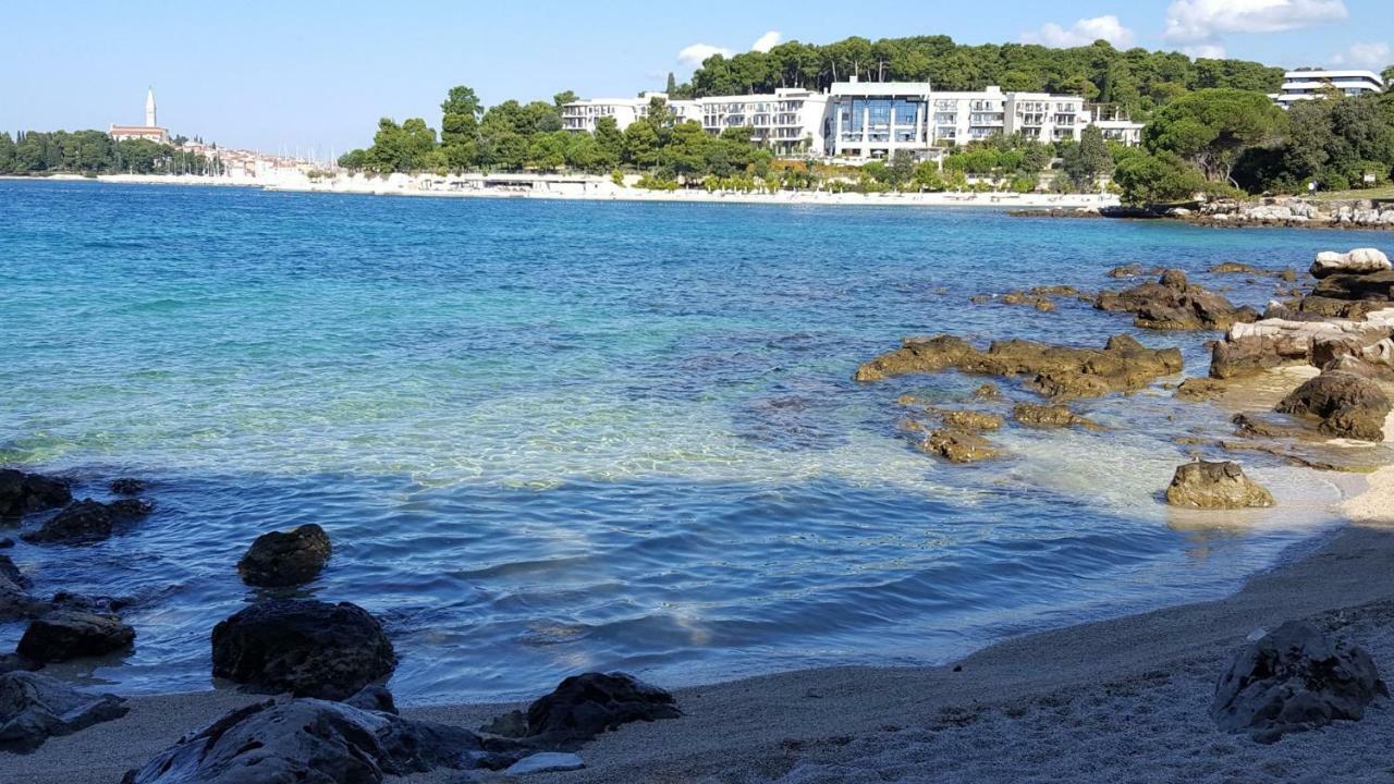 Villa Vrancic ロヴィニ エクステリア 写真