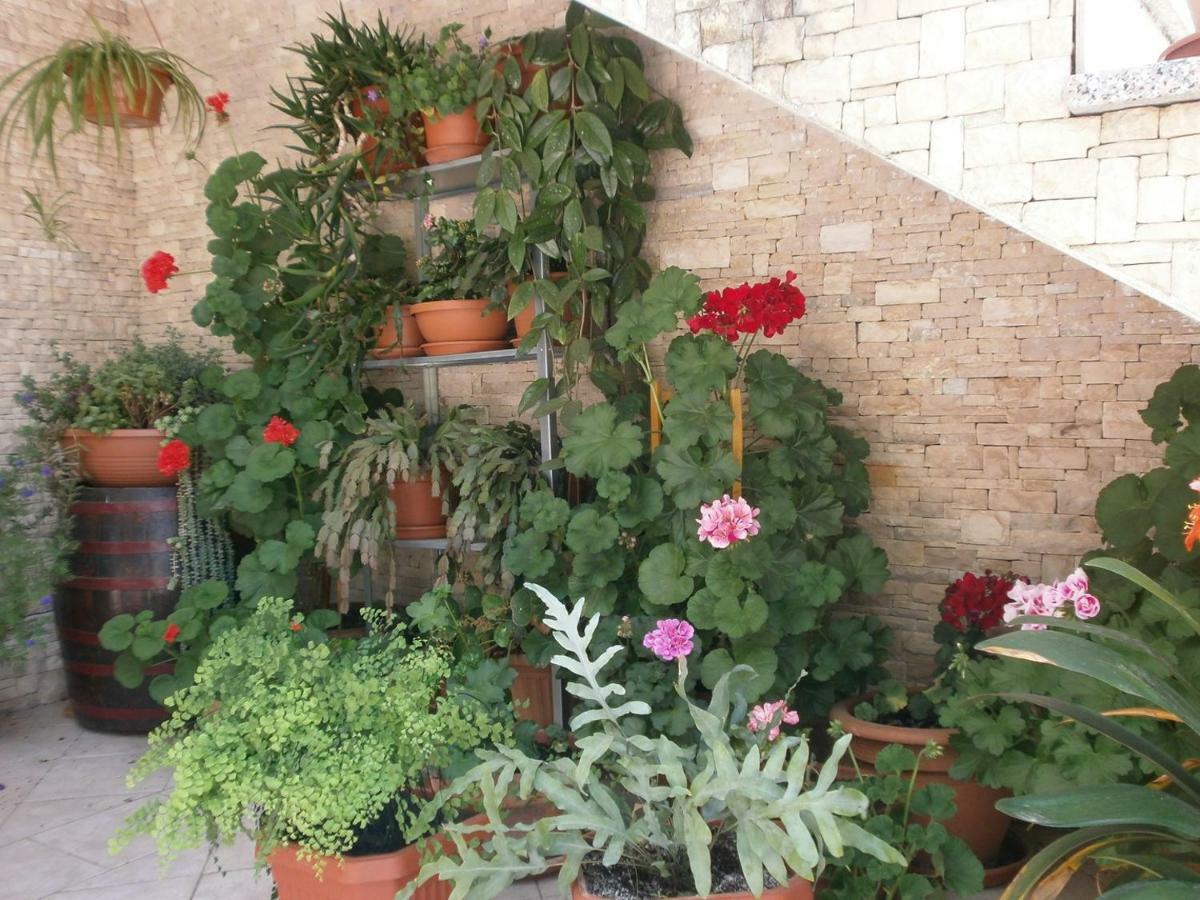 Villa Vrancic ロヴィニ エクステリア 写真