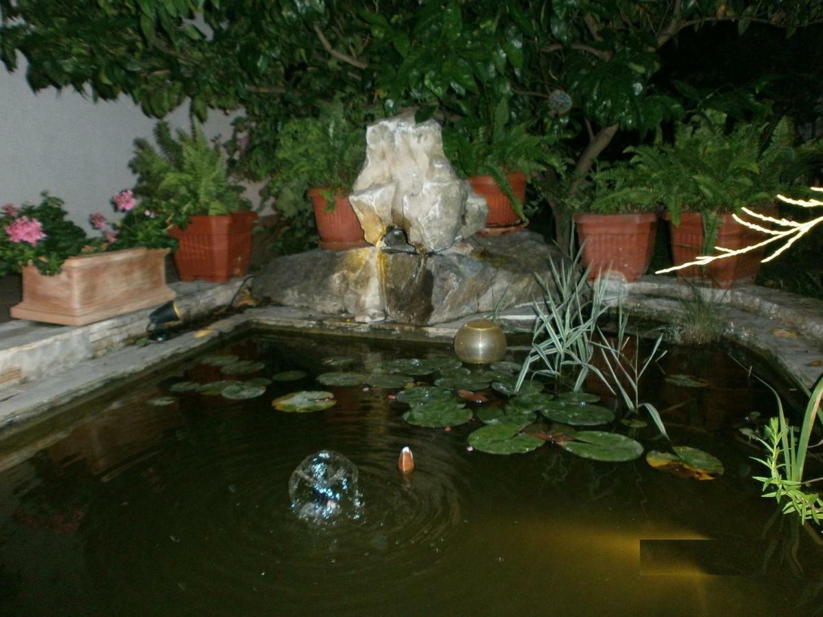 Villa Vrancic ロヴィニ エクステリア 写真