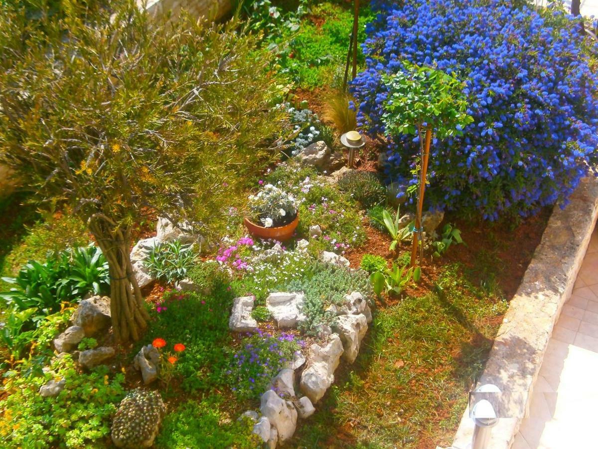 Villa Vrancic ロヴィニ エクステリア 写真